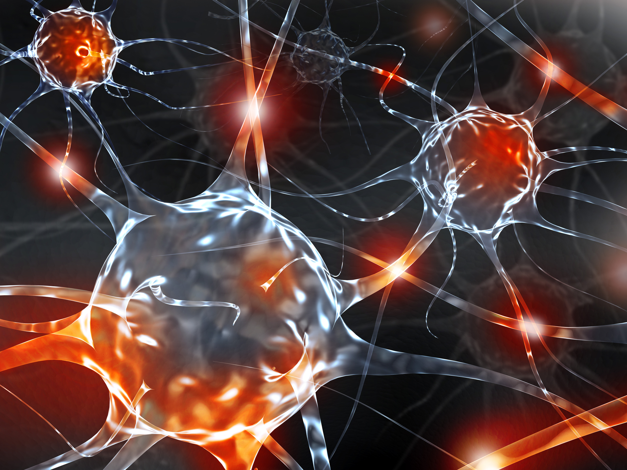 A close up of neurons in the brain